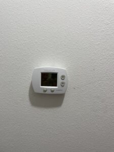 IMG 4029